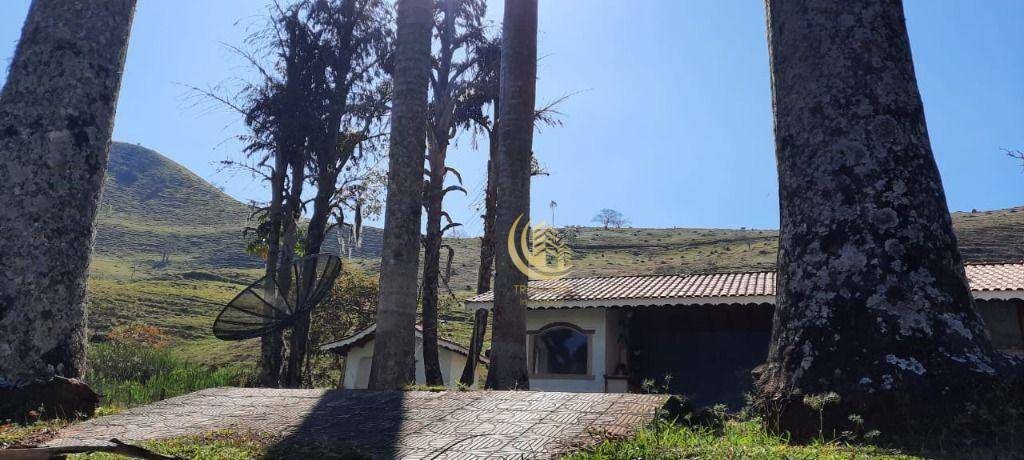 Fazenda-Sítio-Chácara, 106 hectares - Foto 3