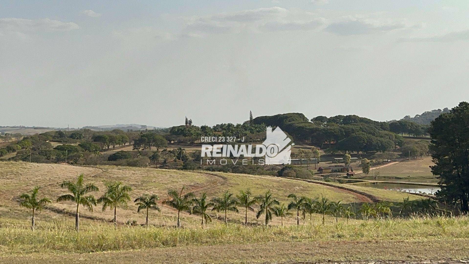 Haras e Área Rural Padrão à venda com 8 quartos, 5000m² - Foto 105