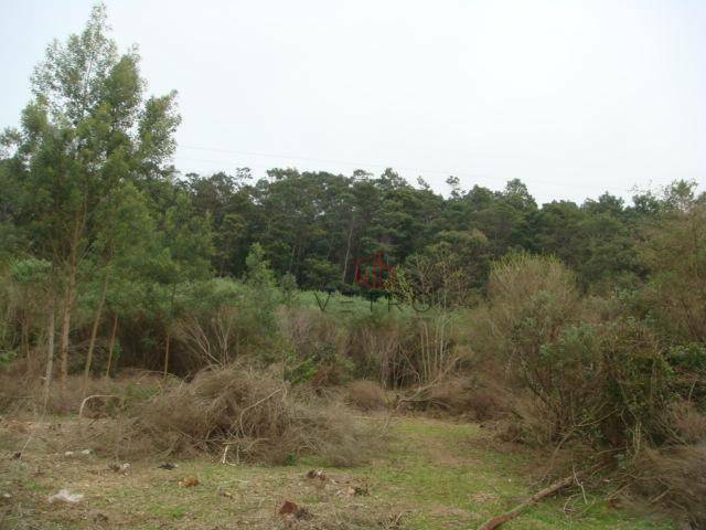 Terreno à venda, 50000M2 - Foto 8