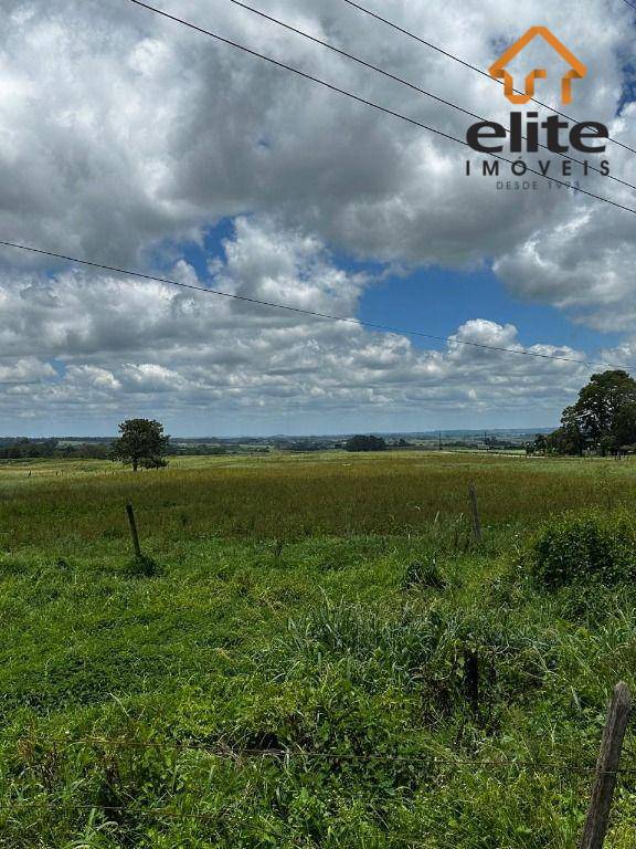 Terreno, 17 hectares - Foto 3