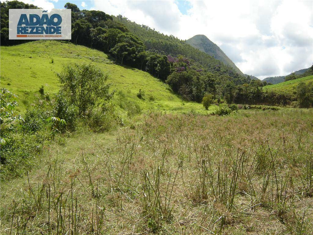 Fazenda à venda com 4 quartos, 1150000M2 - Foto 42