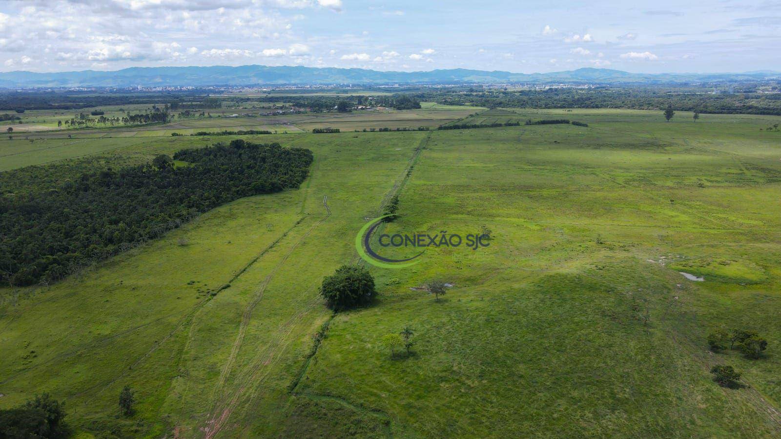 Fazenda à venda com 7 quartos, 968000M2 - Foto 9