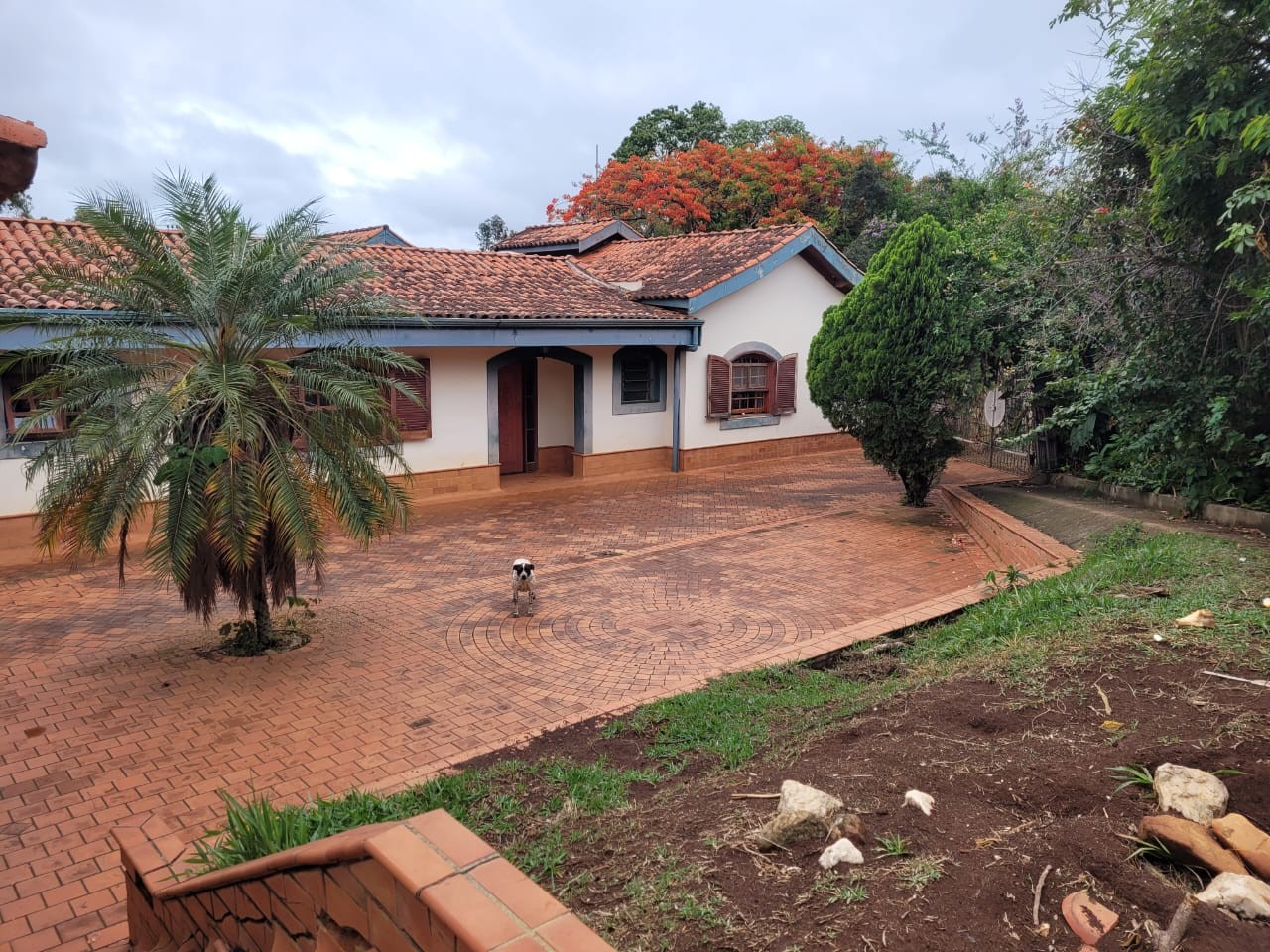 Casa à venda com 4 quartos, 2000m² - Foto 34