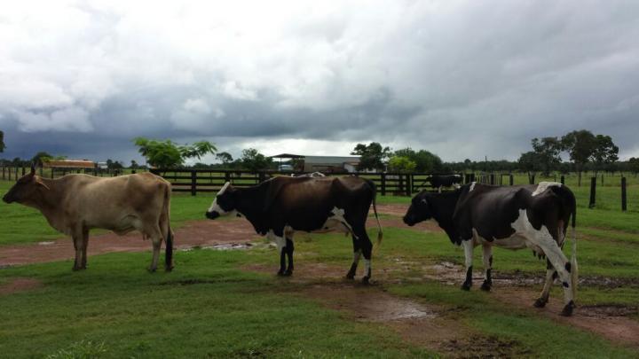Fazenda à venda com 3 quartos - Foto 19