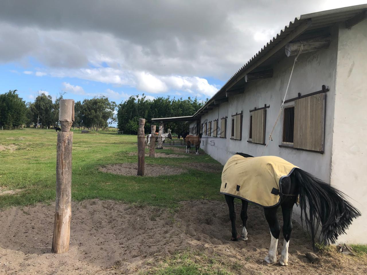 Fazenda à venda, 2300m² - Foto 22