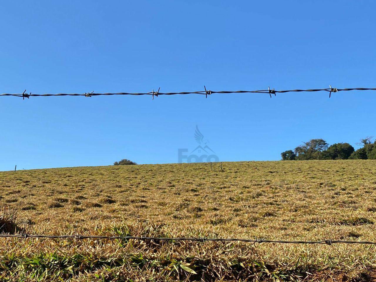 Sítio à venda, 140000M2 - Foto 1