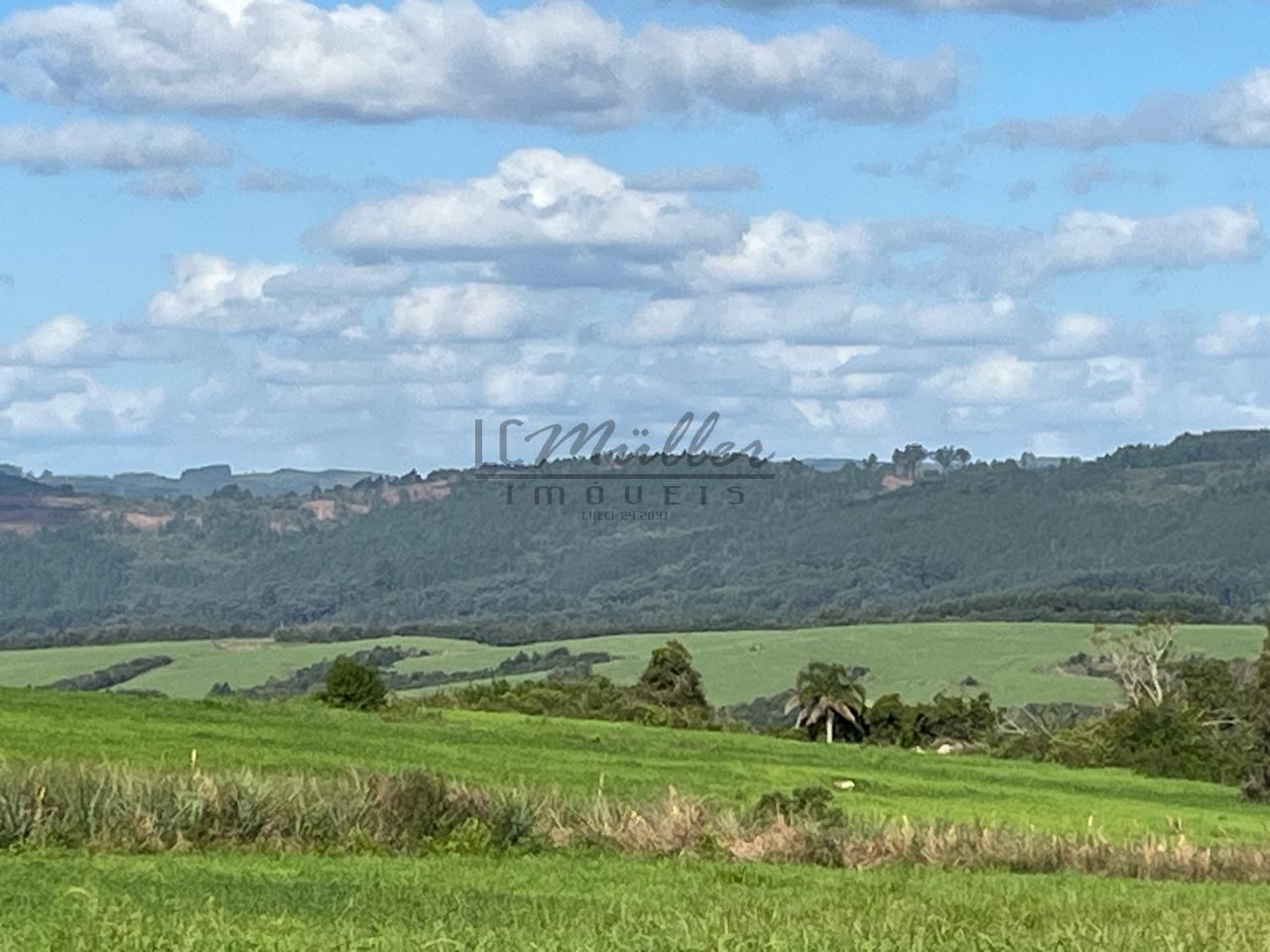 Fazenda à venda, 900m² - Foto 17