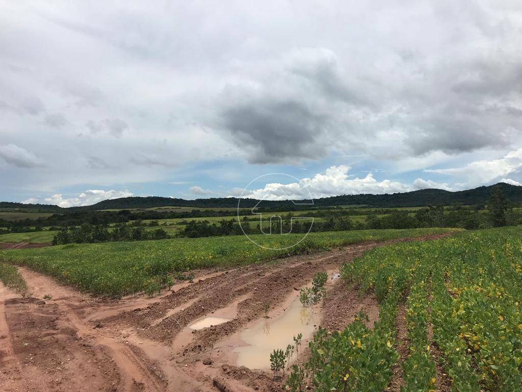 Fazenda à venda, 5000000M2 - Foto 37