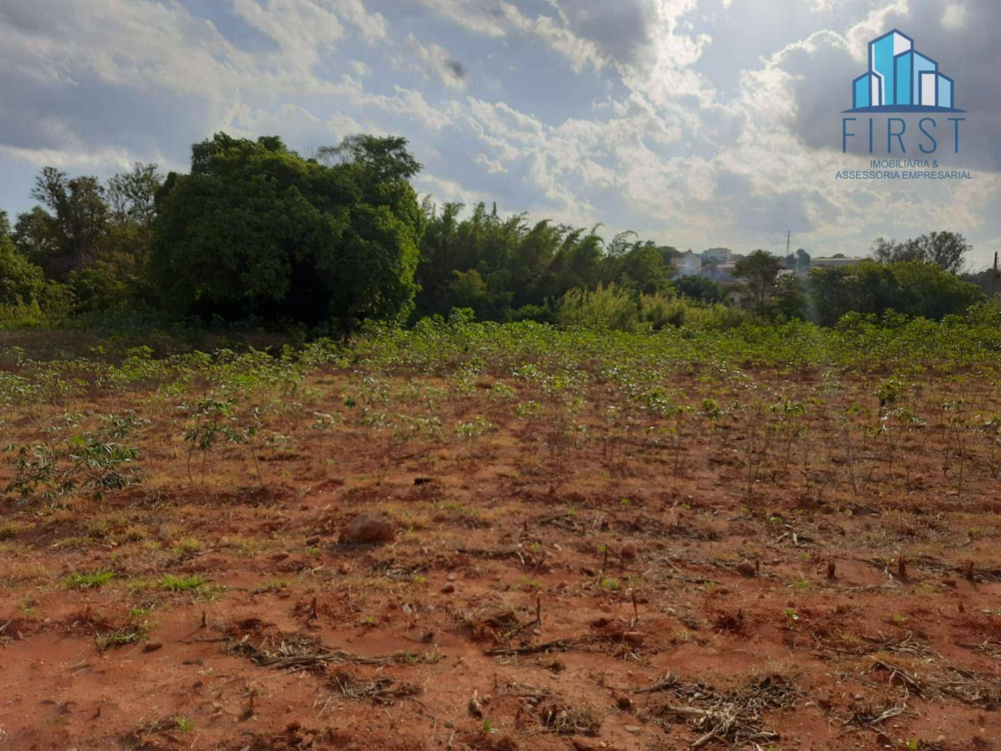 Terreno à venda e aluguel, 11000M2 - Foto 4