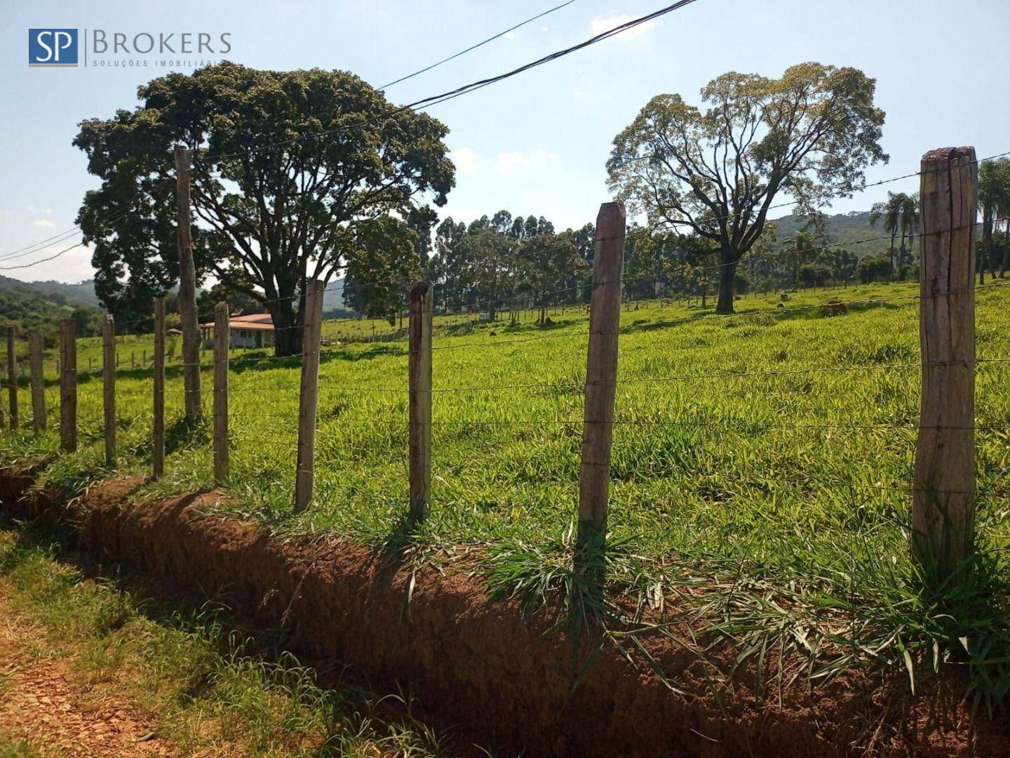 Chácara à venda com 4 quartos, 300m² - Foto 21