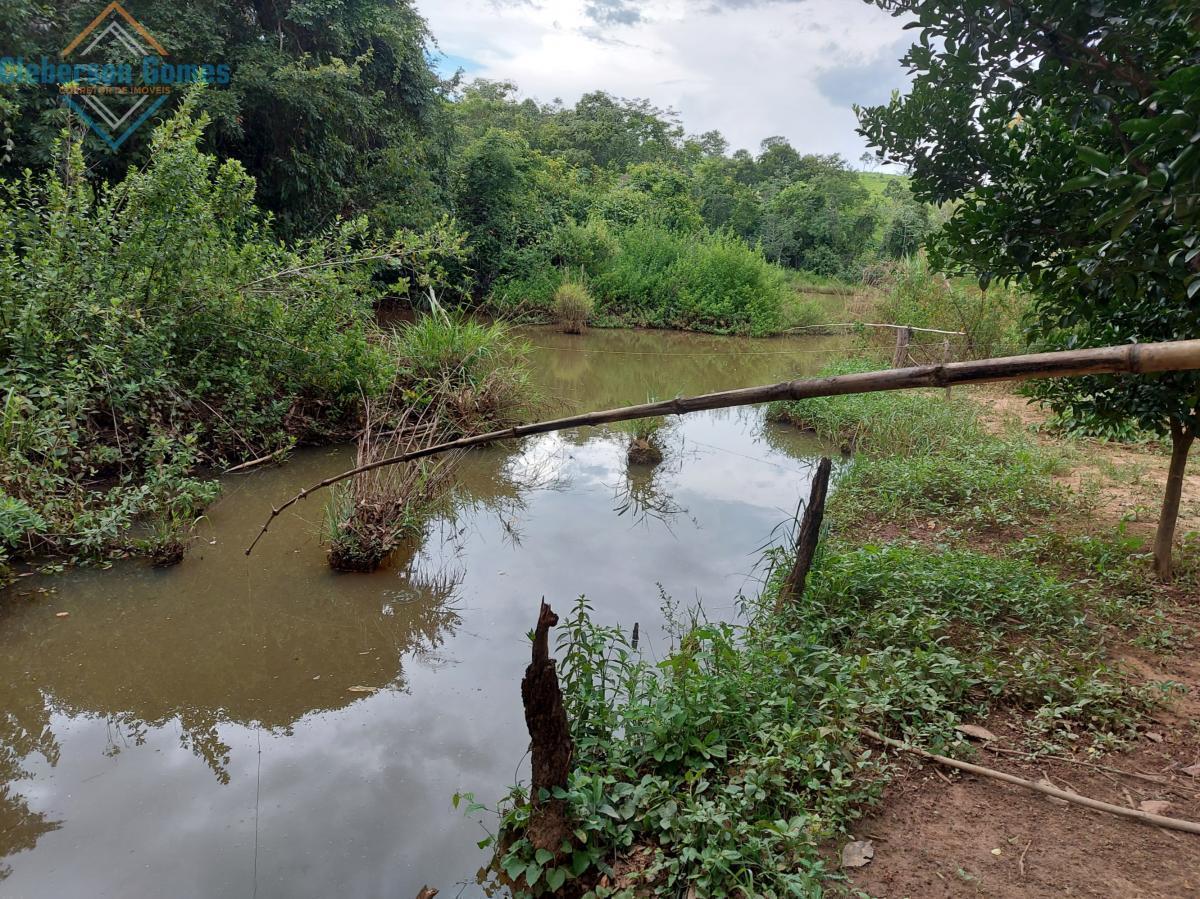 Fazenda à venda com 3 quartos, 1m² - Foto 9