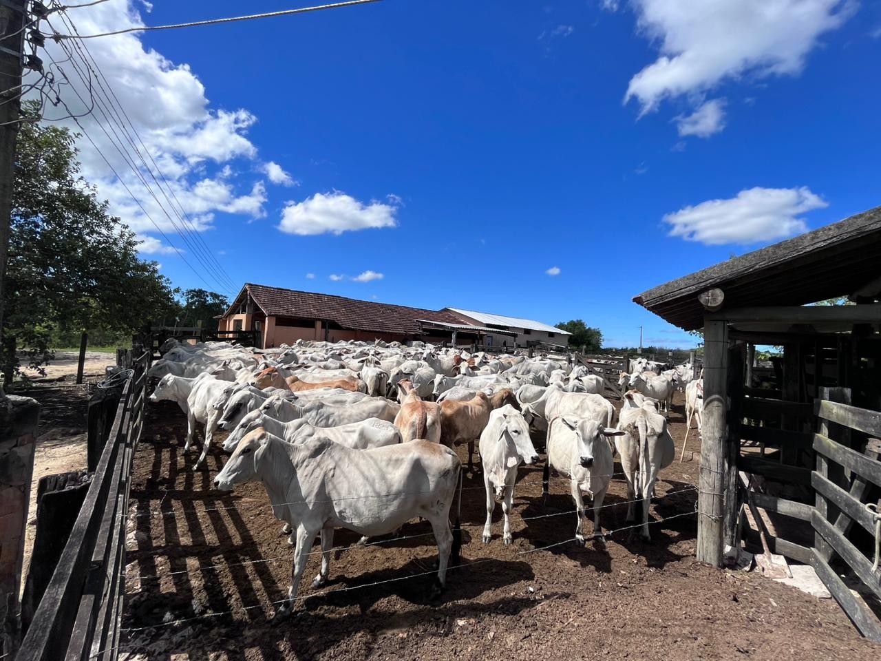 Fazenda à venda, 48400m² - Foto 31
