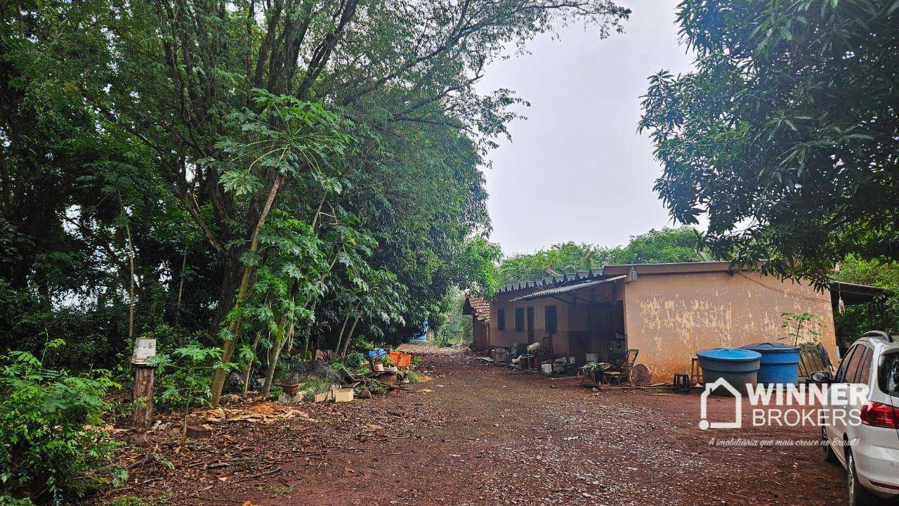 Sítio à venda com 3 quartos, 411400M2 - Foto 19
