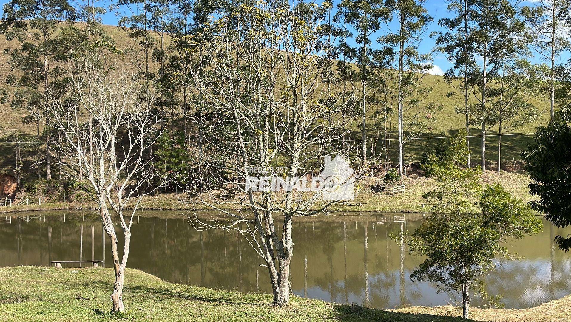 Fazenda à venda com 8 quartos, 900m² - Foto 95