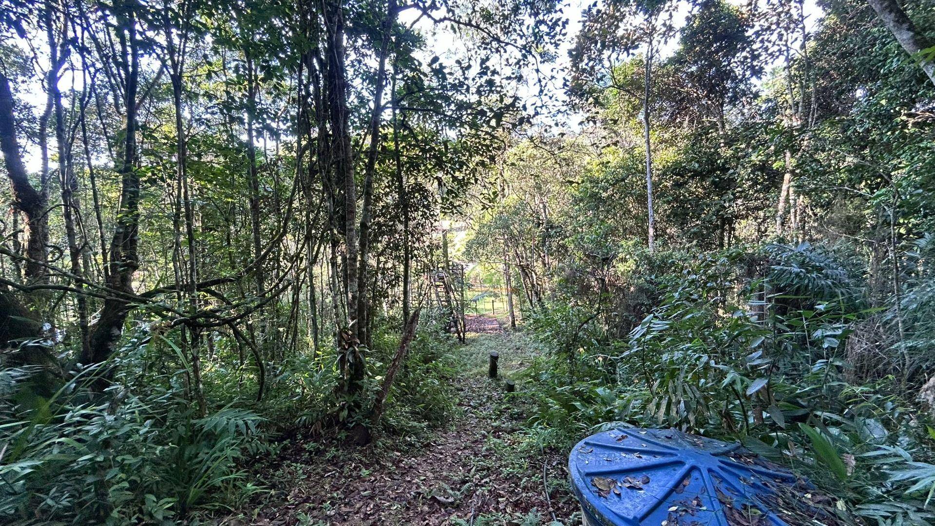 Sítio, 24 m² - Foto 23