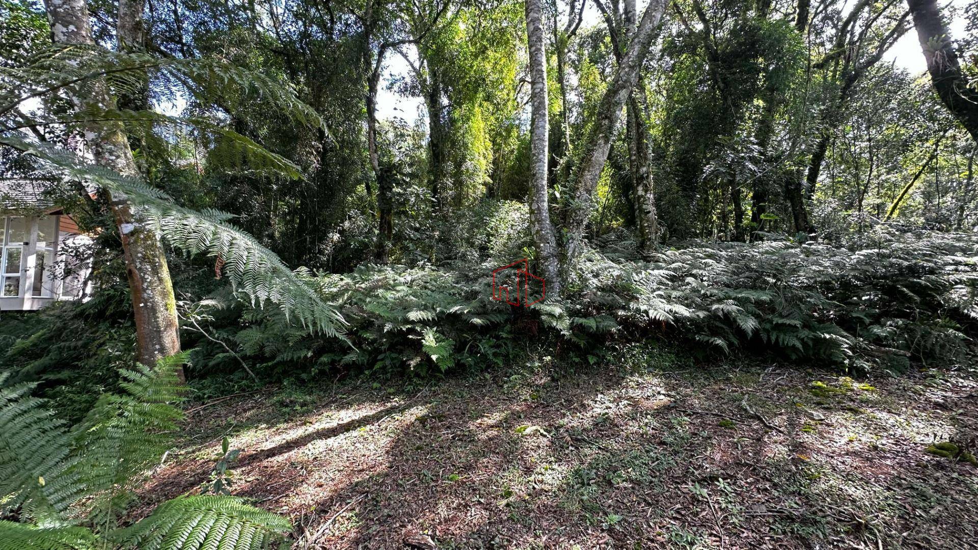 Loteamento e Condomínio à venda, 1024M2 - Foto 6