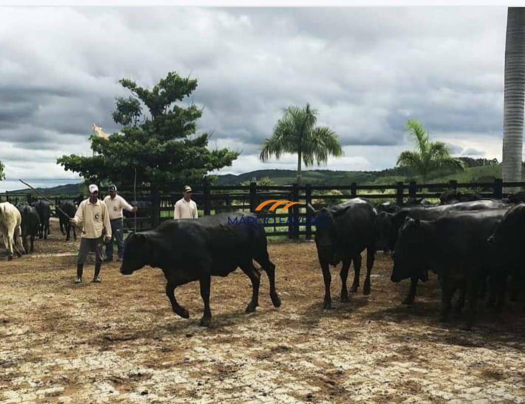 Fazenda à venda, 10841600M2 - Foto 6