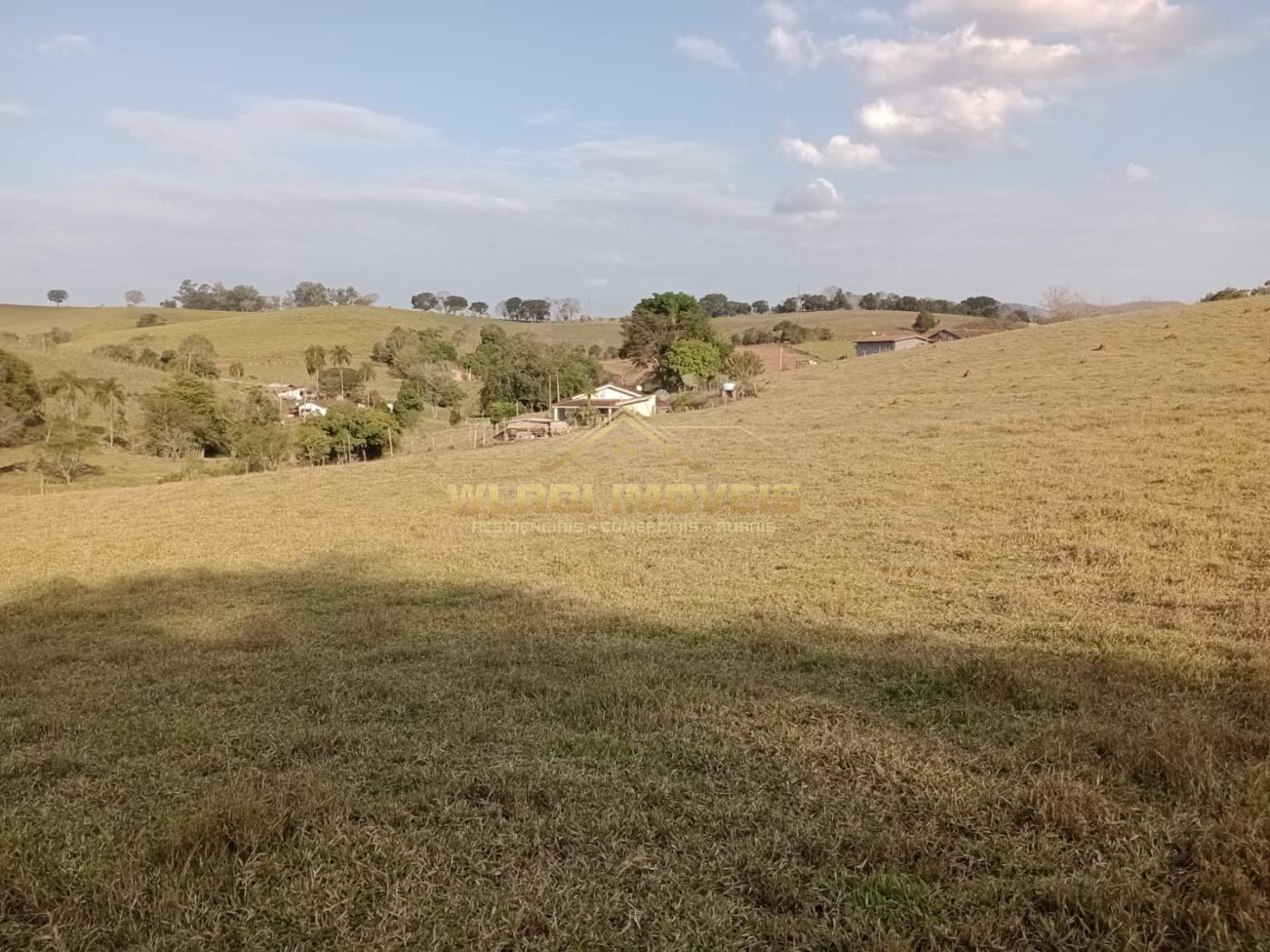 Fazenda à venda com 2 quartos, 4m² - Foto 8