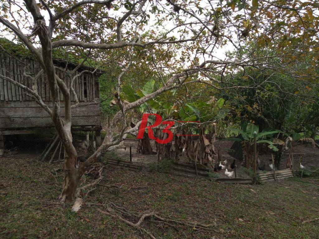 Sítio, 5 quartos, 7 hectares - Foto 40