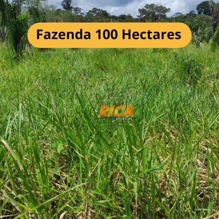 Fazenda-Sítio-Chácara, 100 hectares - Foto 1