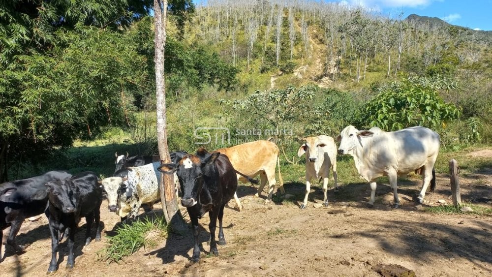 Fazenda à venda, 150m² - Foto 19