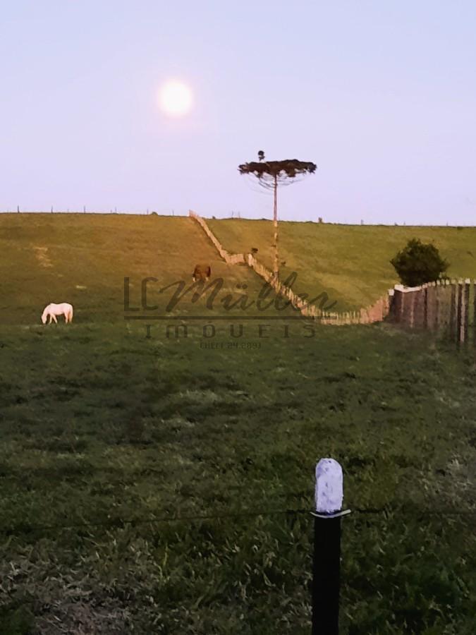 Fazenda à venda, 51m² - Foto 7