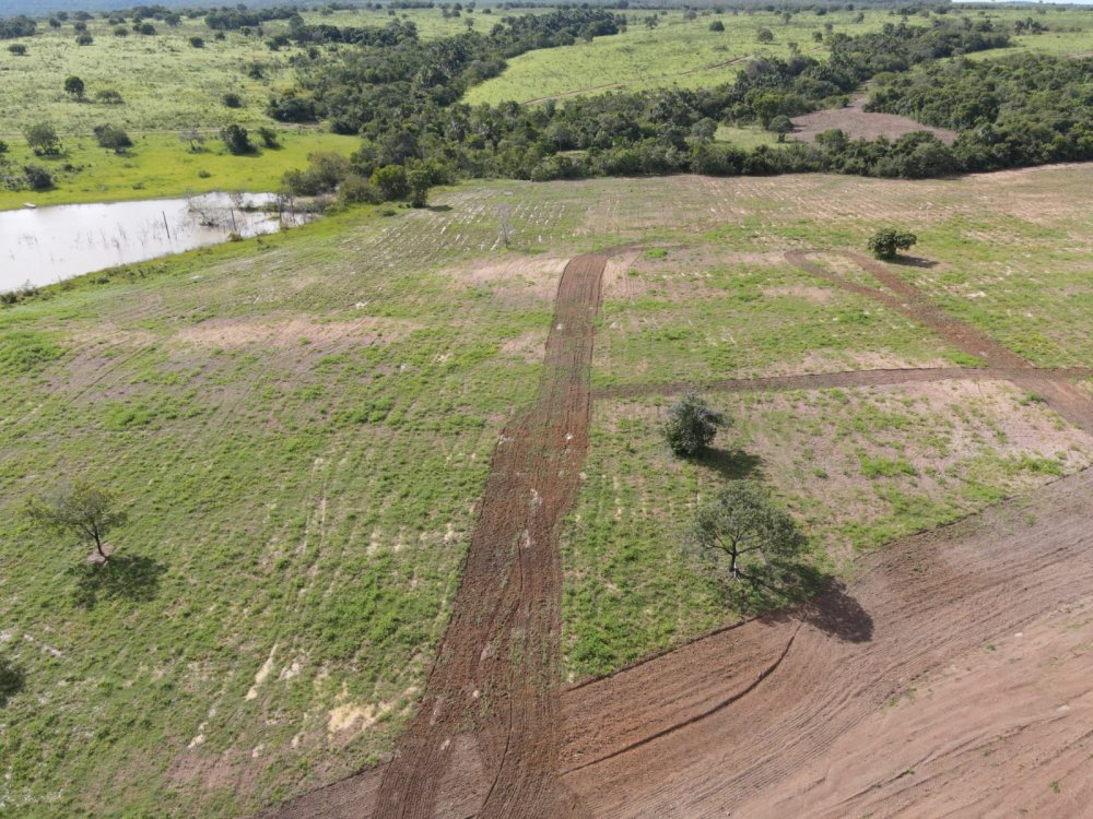 Fazenda à venda, 1033m² - Foto 6