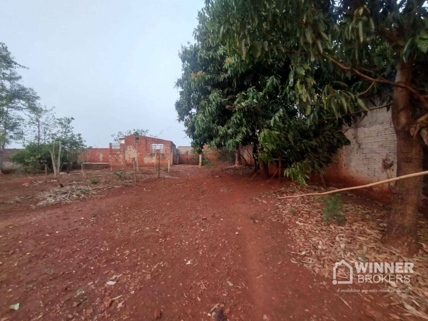 Chácara à venda com 1 quarto, 1000M2 - Foto 4