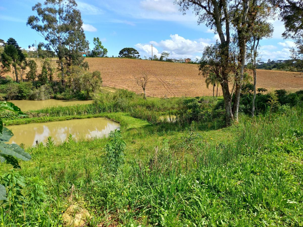 Chácara à venda, 9075m² - Foto 19