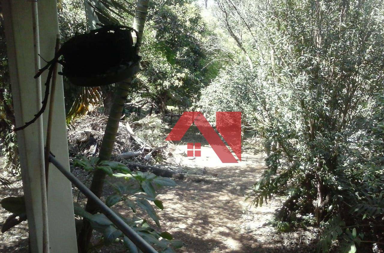 Chácara, 3 quartos, 8922 m² - Foto 4