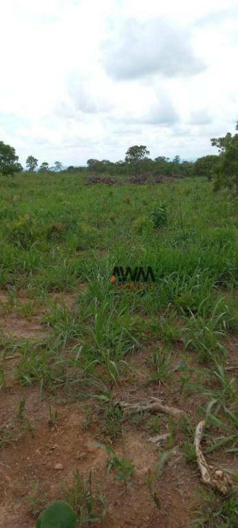 Fazenda à venda, 1887600M2 - Foto 16