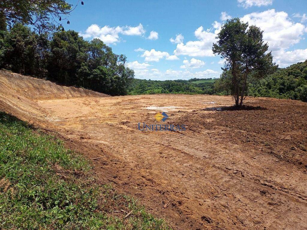 Chácara à venda, 10000M2 - Foto 3