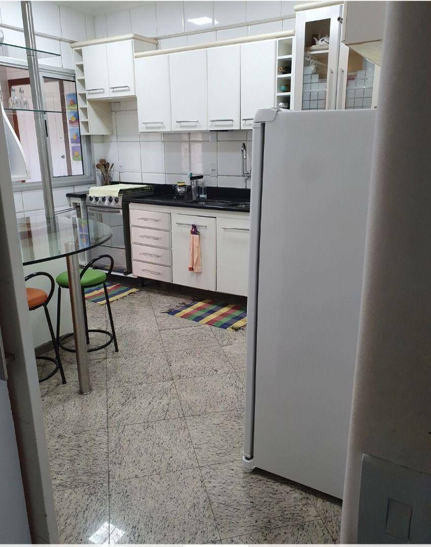 Apartamento à venda com 3 quartos, 125m² - Foto 14