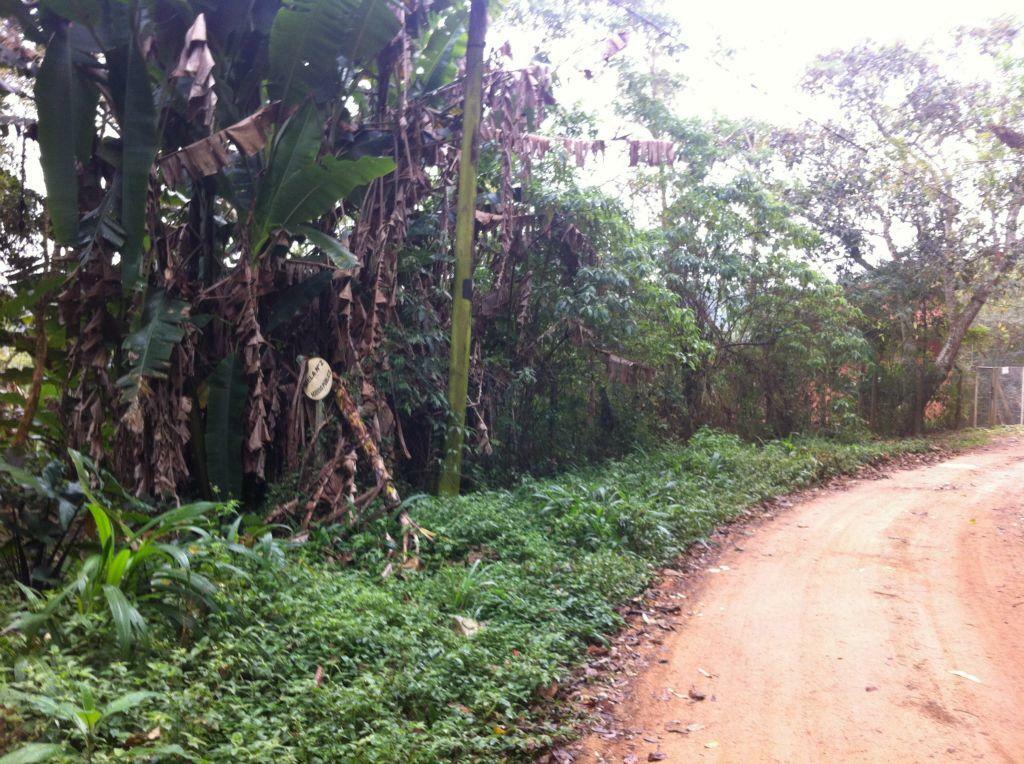 Loteamento e Condomínio à venda, 2000M2 - Foto 3