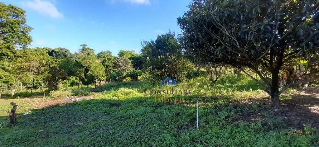 Sítio à venda com 5 quartos, 150m² - Foto 2