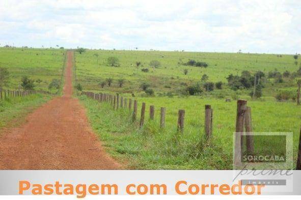 Fazenda à venda, 4270000000M2 - Foto 4