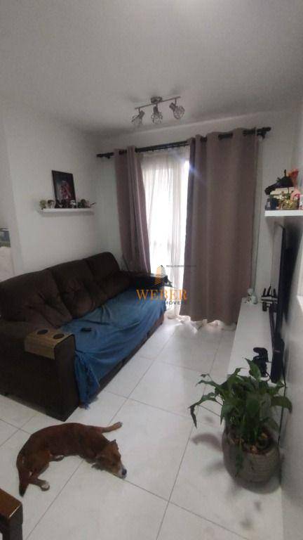 Apartamento à venda com 2 quartos, 54m² - Foto 4