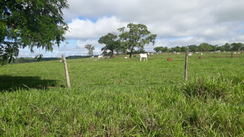 Fazenda à venda, 280m² - Foto 6