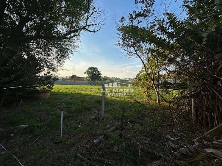 Chácara, 6 quartos, 3 hectares - Foto 4