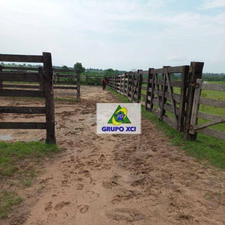 Fazenda à venda, 10000000M2 - Foto 6