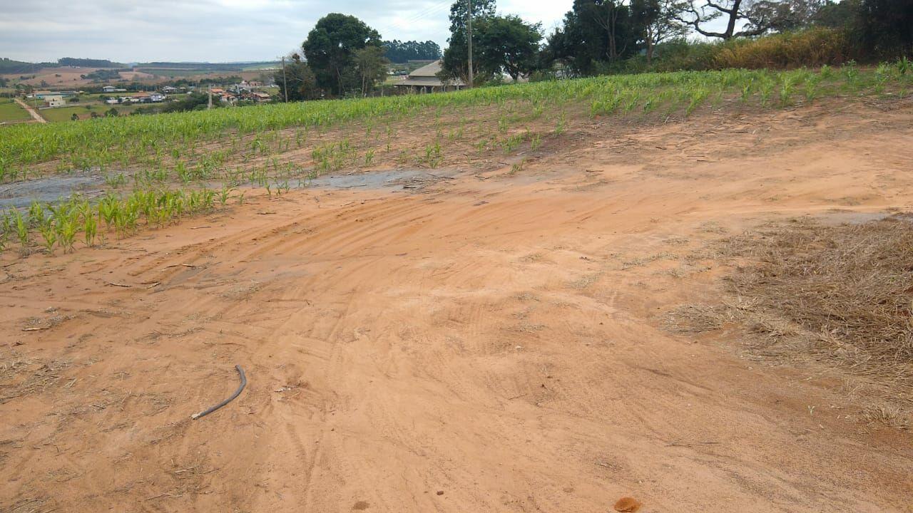 Fazenda à venda com 1 quarto, 968000m² - Foto 7