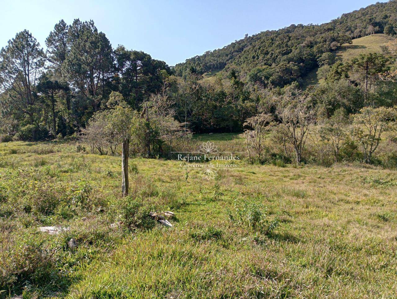 Terreno à venda, 40000M2 - Foto 7