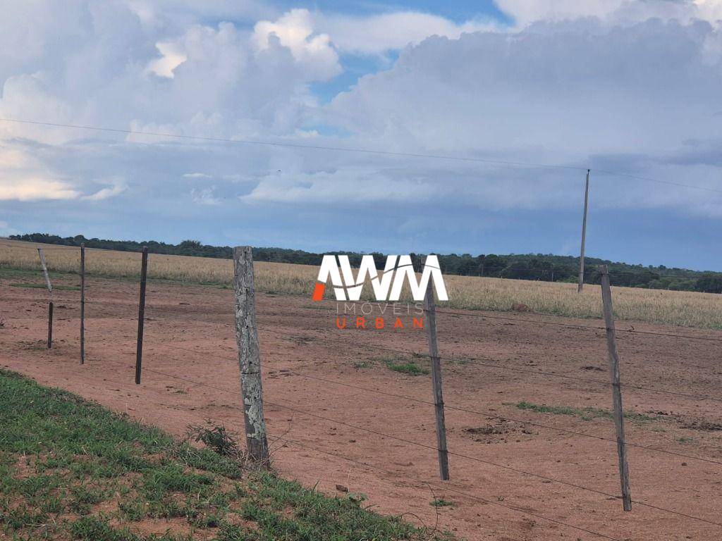 Fazenda, 944 hectares - Foto 5