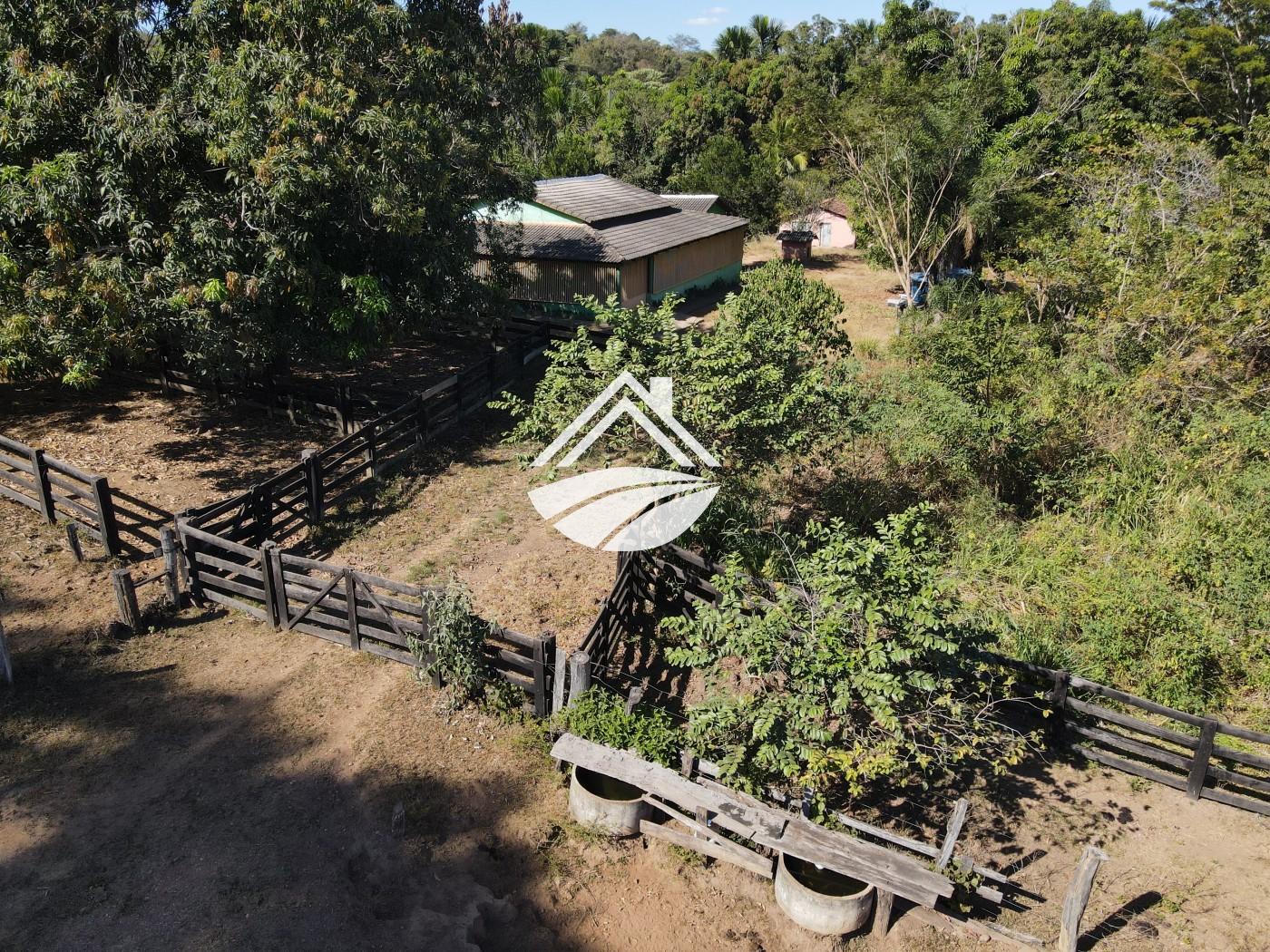 Fazenda à venda com 3 quartos, 452980m² - Foto 14