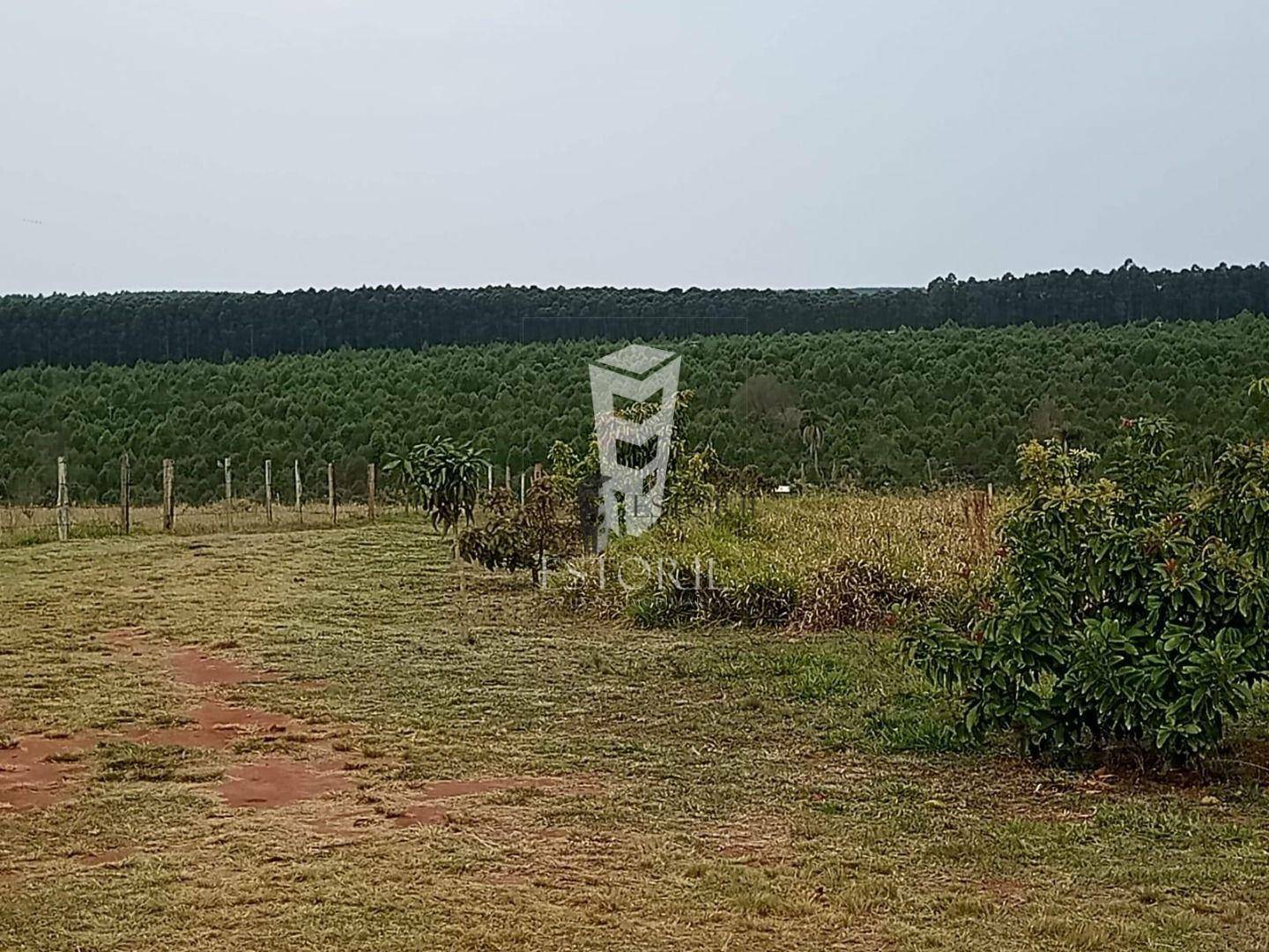 Chácara à venda com 3 quartos, 200m² - Foto 15