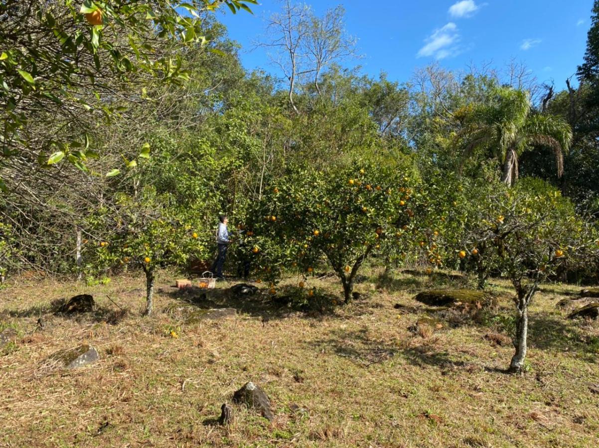 Fazenda à venda com 2 quartos, 3m² - Foto 17