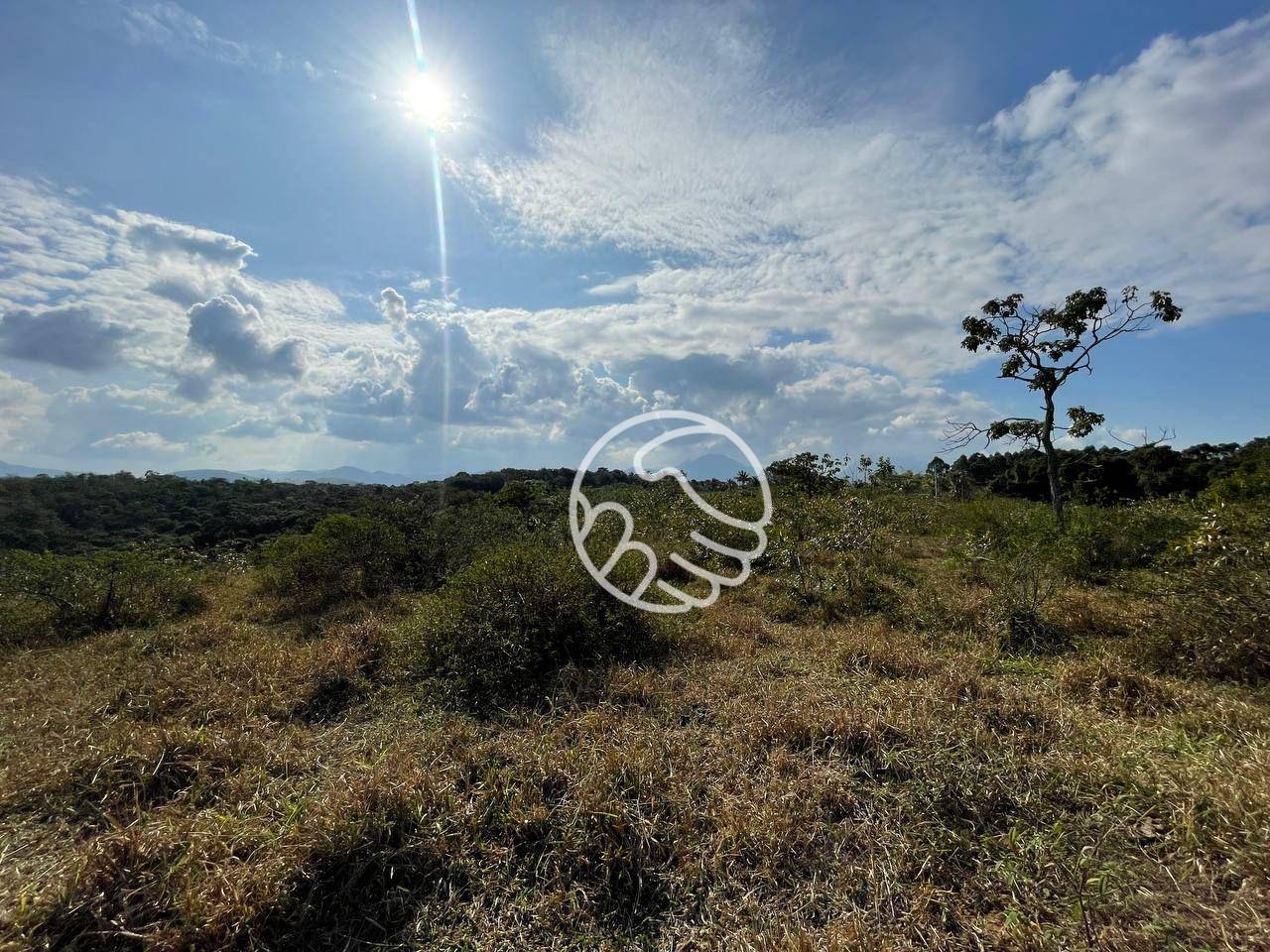 Sítio, 12 hectares - Foto 20