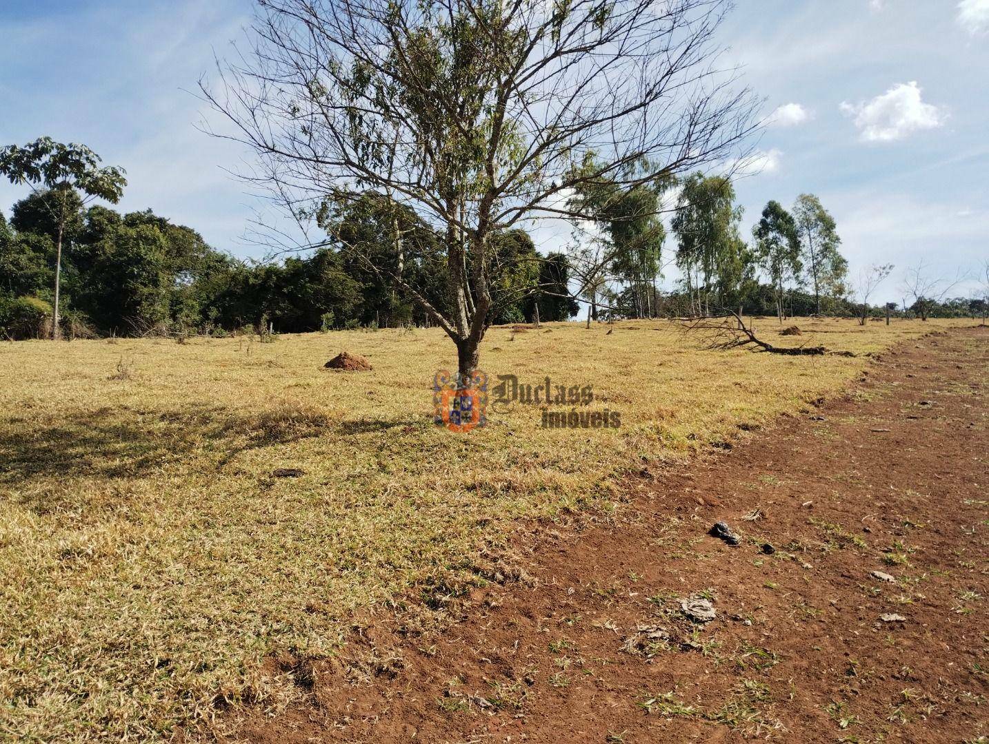 Terreno à venda, 1000M2 - Foto 13