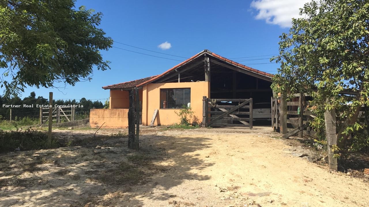 Fazenda à venda com 3 quartos, 52m² - Foto 29