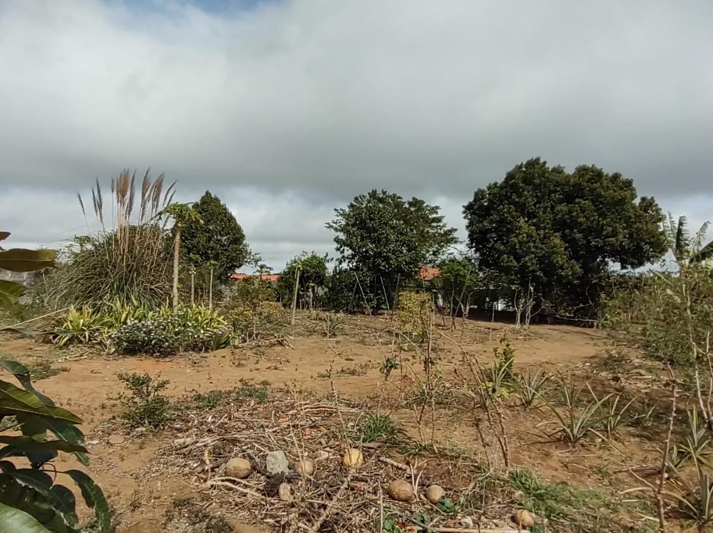 Fazenda à venda com 5 quartos, 3000m² - Foto 33